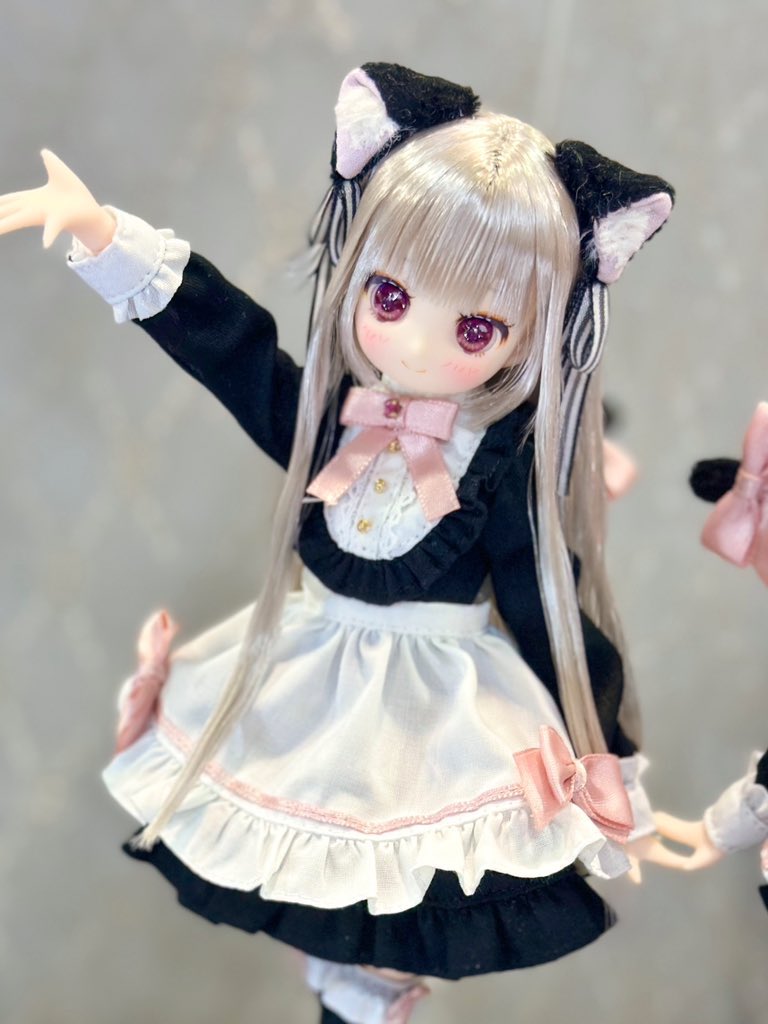 からふるDreamin'】 #アイドール東京 展示中 『めばえ～夢見るねこ