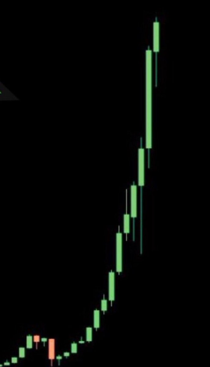 O N 🐉.MOON tweet media