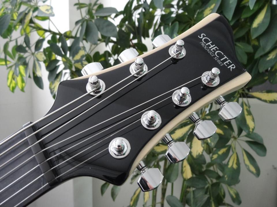 🎋 🎋 ━━━━━━━━━━━━━━ ☆7月7日なので7弦ギターのご紹介