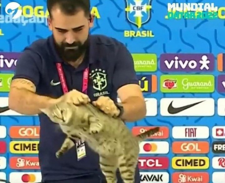 frabigol's tweet photo. Momento exacto donde Brasil queda condenado a no ganar nada nunca más

MUCHAS GRACIAS GATITO https://t.co/zQkkVRSQ6E