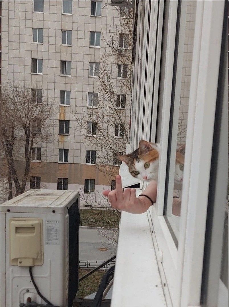 rude neighbor