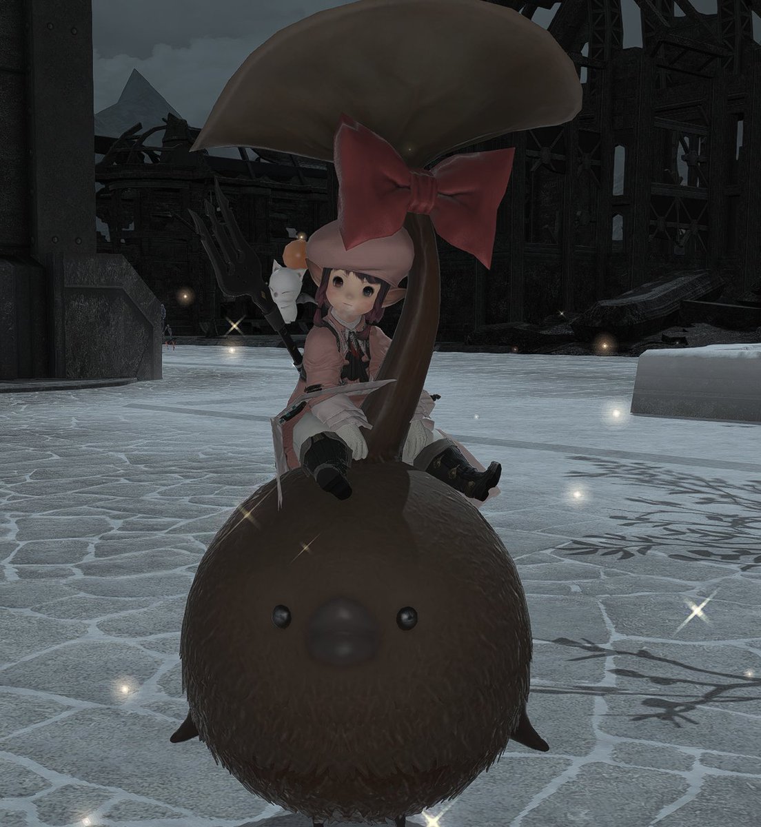 Wawo🎈 tweet media