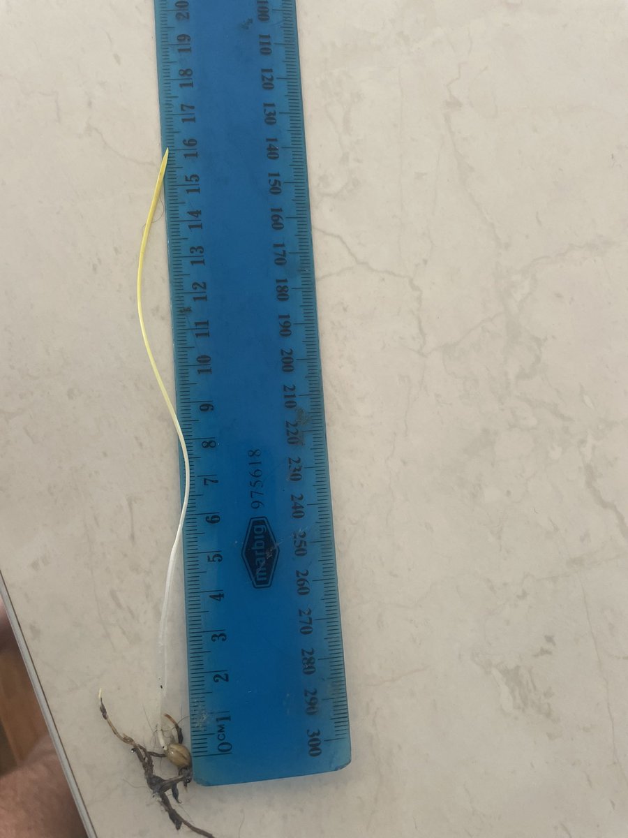 Corey Hart tweet media