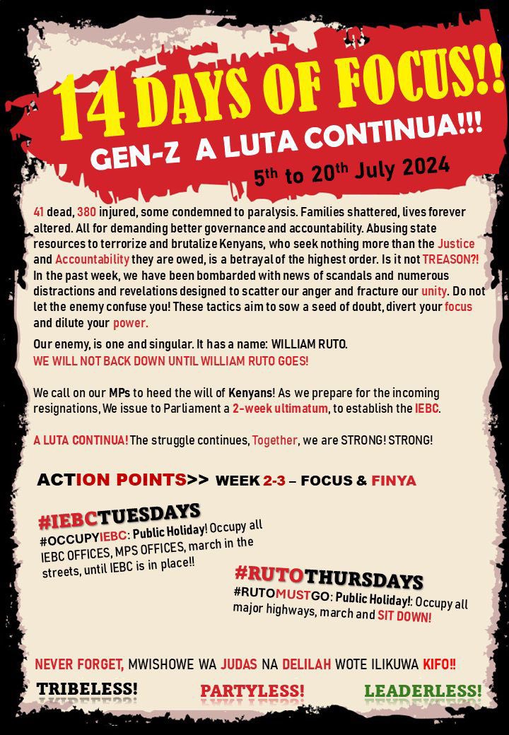 C_NyaKundiH's tweet image. I see the movement is still on. Keep injecting  #SabaSabaMarchForOurLives