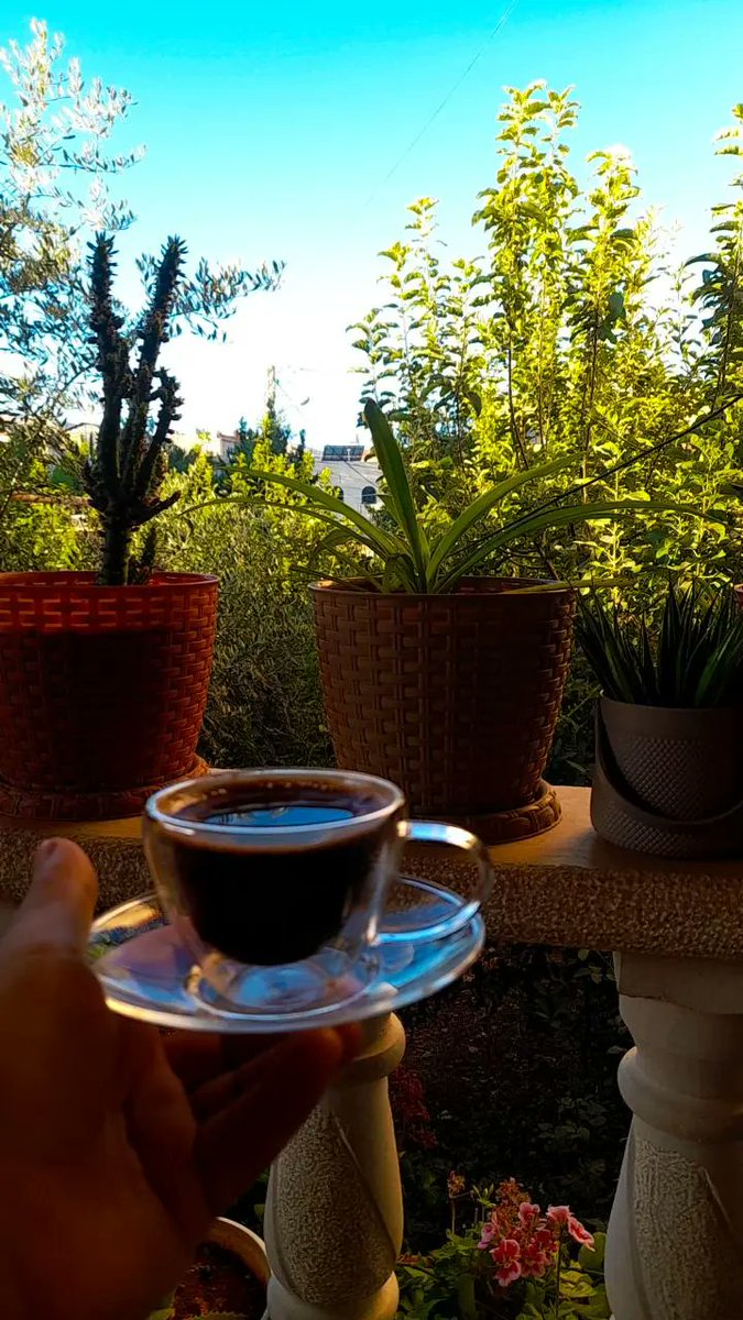 AwdeHawraa's tweet photo. يا بدايات المحبّة ..
#Quality_time 🍃 https://t.co/0TCYzWnhHu