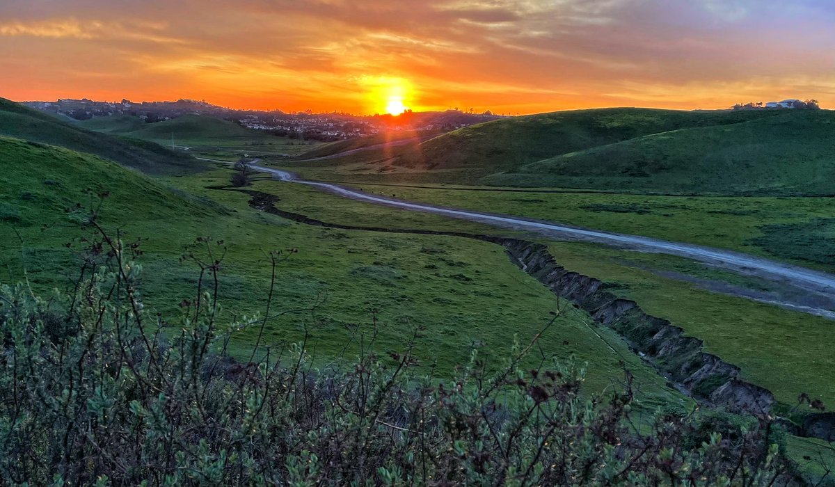 simplebeauty4X's tweet photo. Good Night ❤️ #NatureBeauty #X #sunset https://t.co/ygaQw24Y1u
