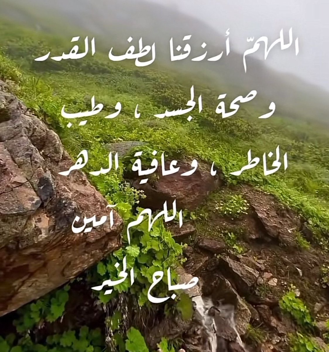 الجوهره العبدان tweet media