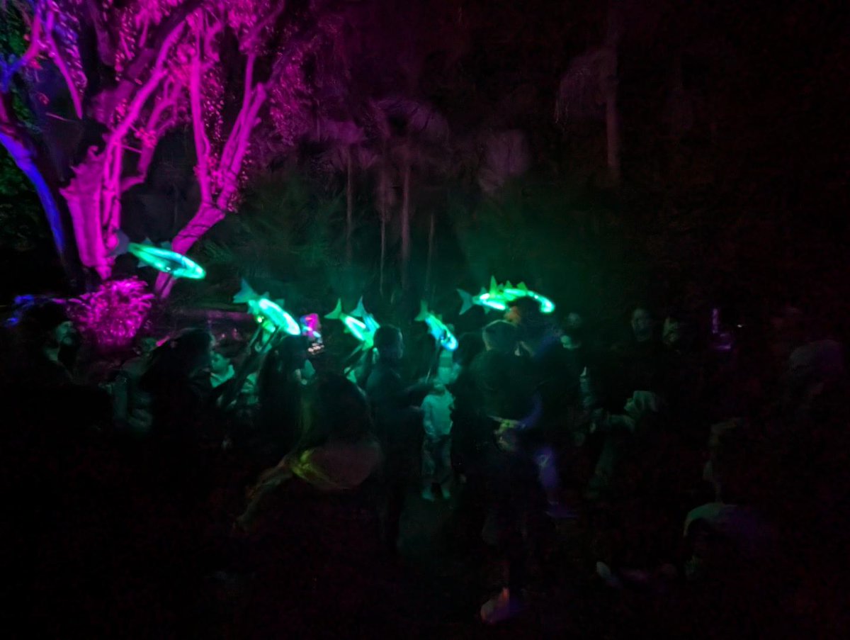 markjstorer's tweet photo. It was very well attended in a thrilling family atmosphere with good catering and excellent exhibits. #Radelaide #Illuminate m https://t.co/uloZKUs45I