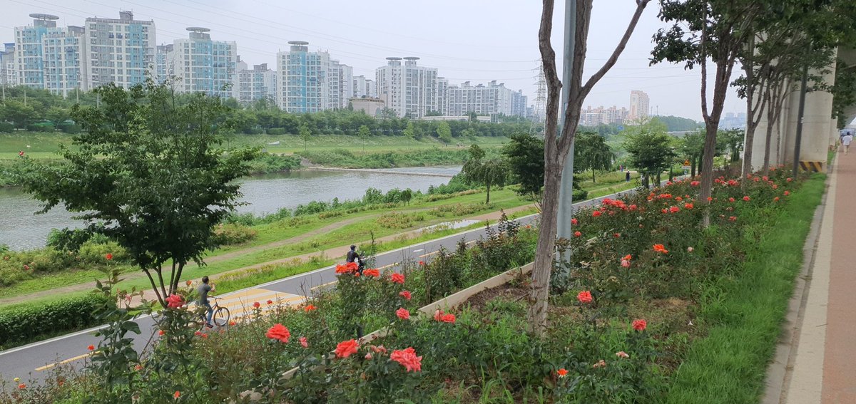 hyun_o33901's tweet photo. I am taking a walk for a while. I will come back feeling refreshed. I have a sudden question. Do you know or have any questions about Korea? I live in Korea.
#korea #k-culture #takearest https://t.co/L3RU3F3nu5