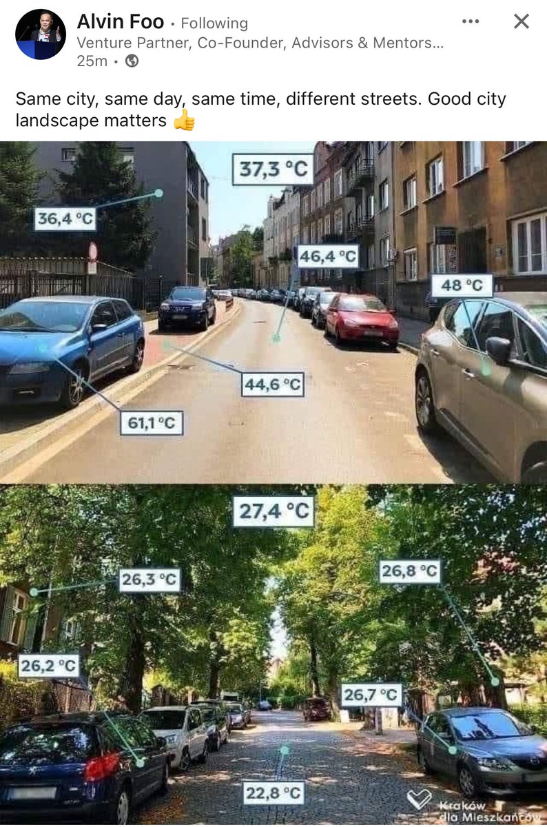 أهمية التخطيط العمراني ..