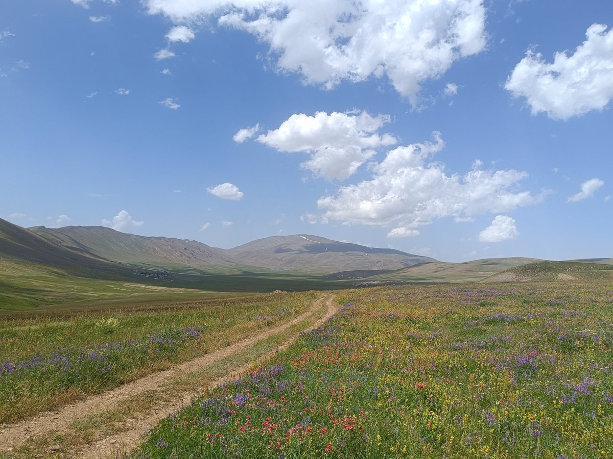 Çiçeği iyi niyet olanın,
bahçesi çürümez .