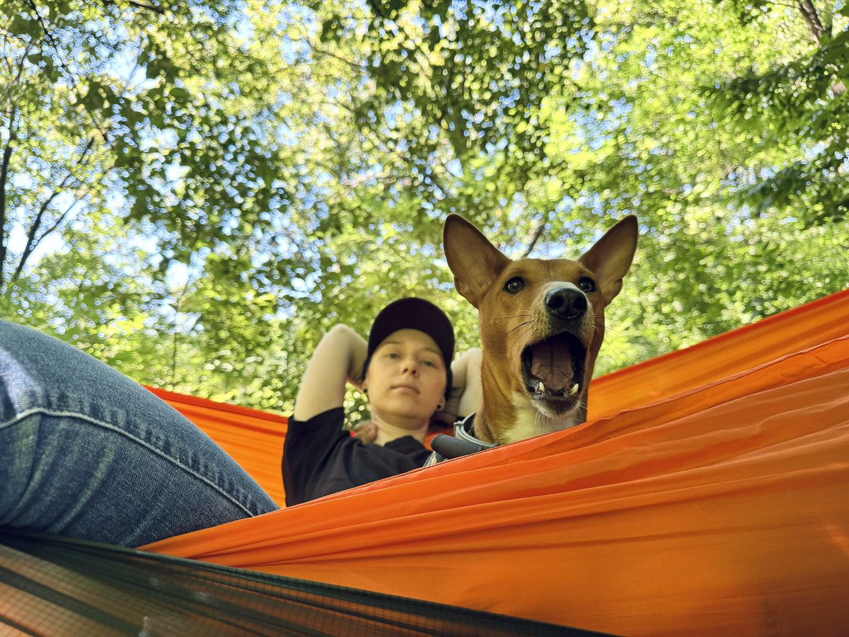 janerixt's tweet image. Нарешті вибрались в парк в гамачках повалятись