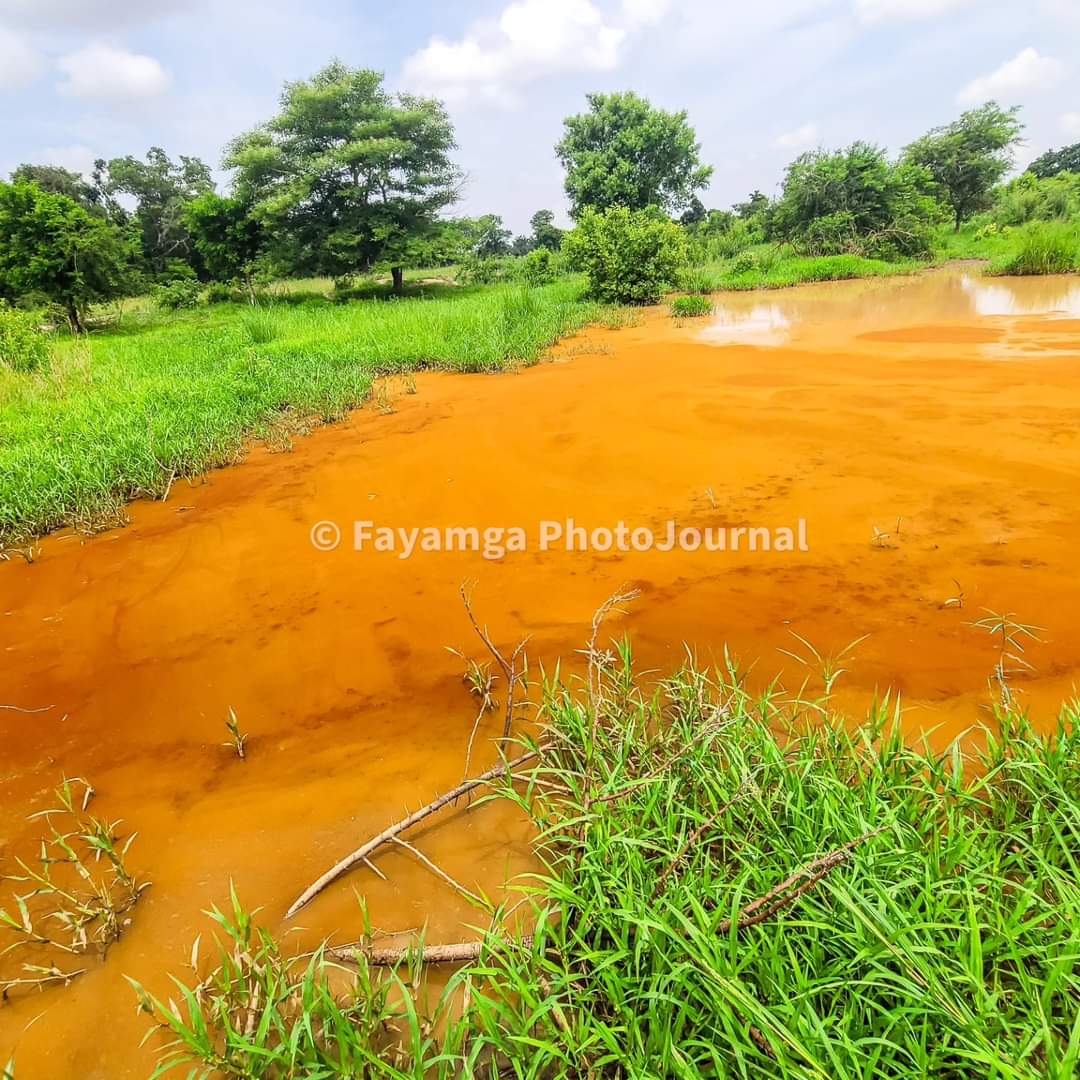 Kodimah1's tweet photo. We use these polluted water bodies to irrigate vegetables farms or gardens for consumption and contracting chronic diseases such as cancer and others. It also cause high mortality rate in human and animals. Who is safe??
#responsiblefarming
#weareshifting
#collectiveeffort https://t.co/TjQ3WvPV5g