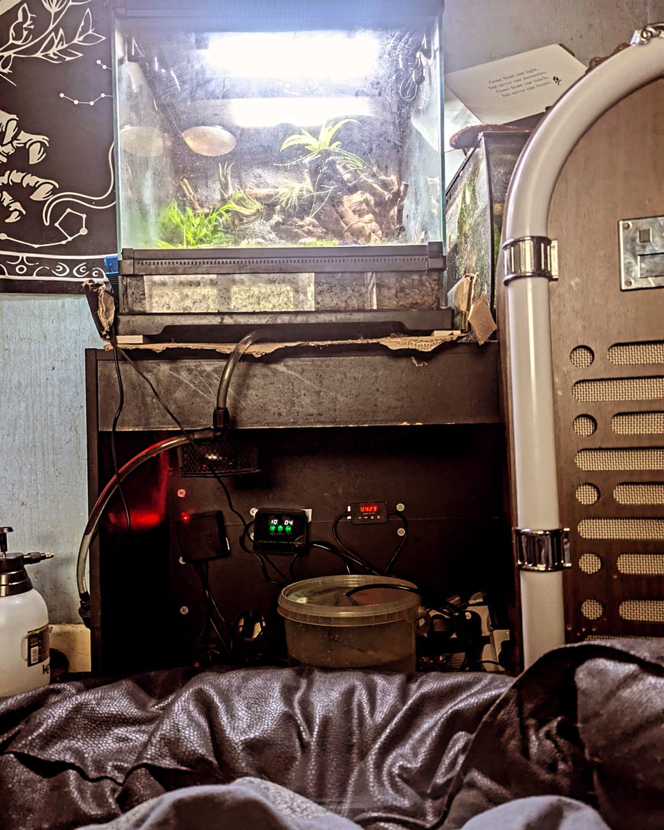 freaksquid5's tweet image. 