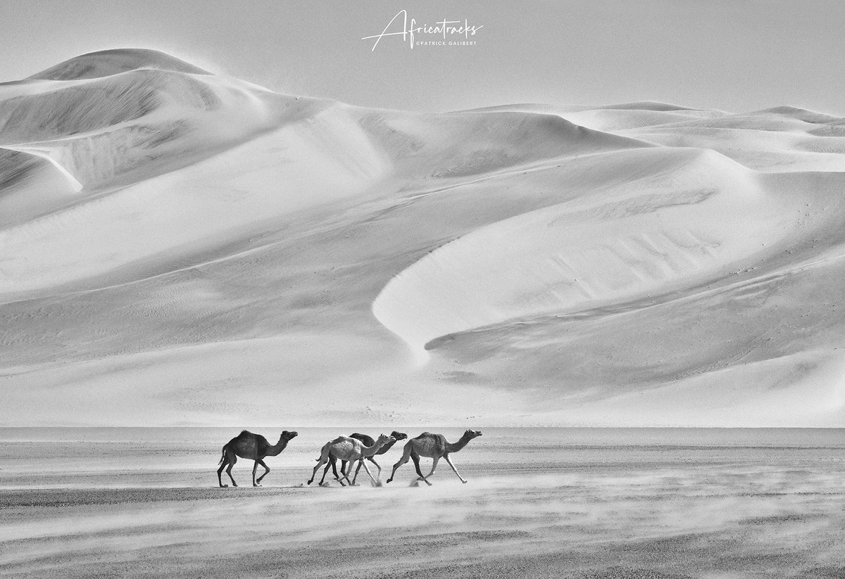africatracks tweet media