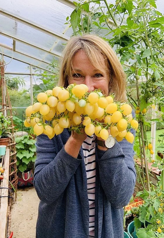 Pat Marsh tweet media