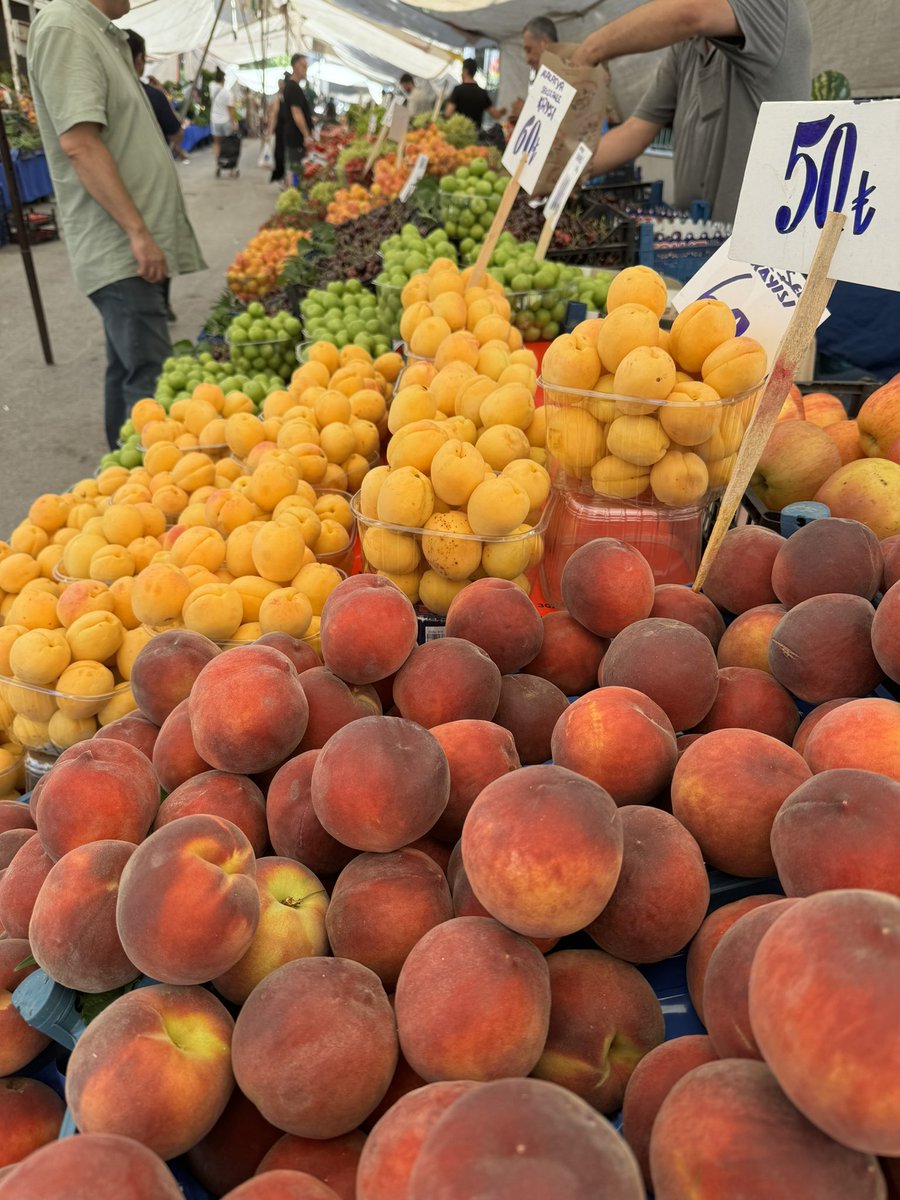 Dünyada neredeyse her şeyin yetiştiği ve her şeyin pahalı olduğu tek ülke: Türkiye