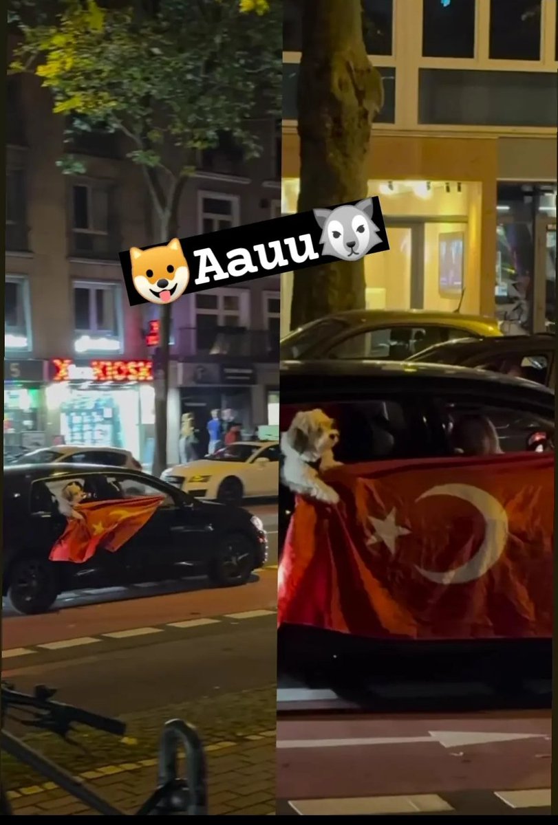 Köpeği nasıl ikna ettiniz lan🤔😐😃
#EURO2024
