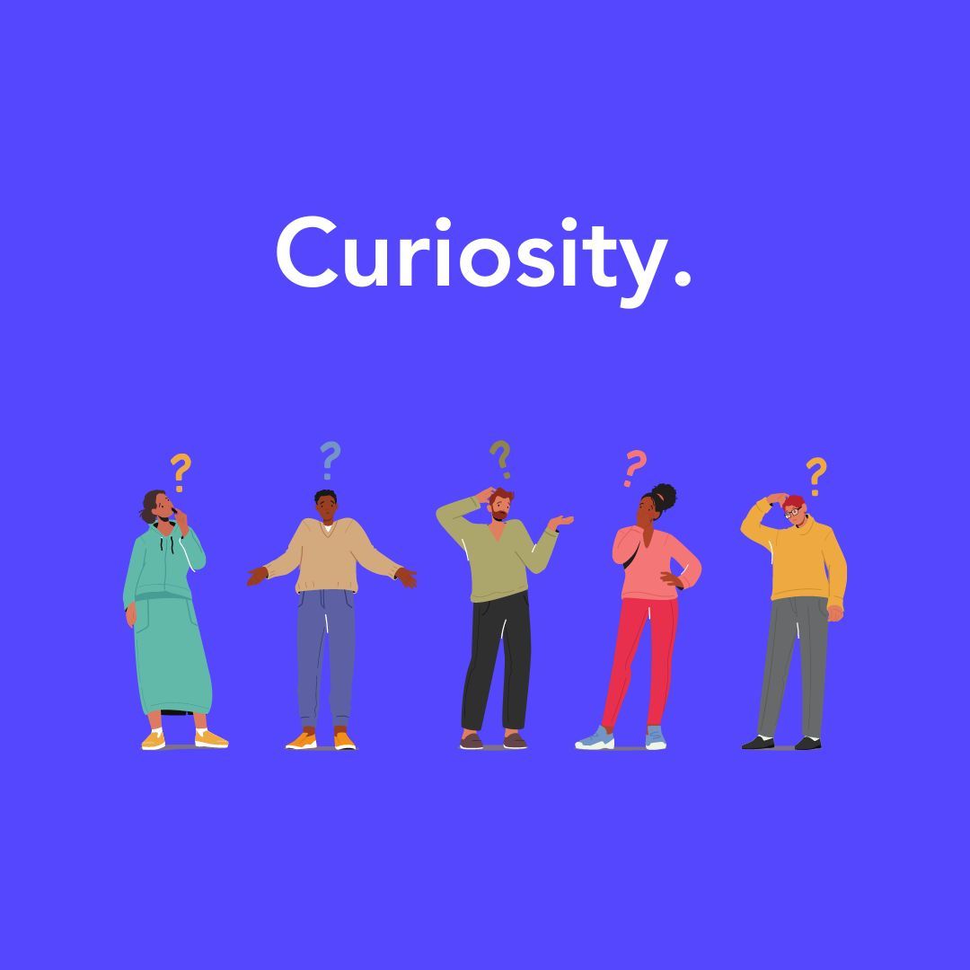 York Together tweet media