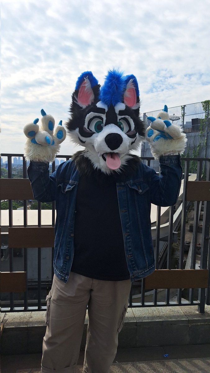 Unpronunceable Husky tweet media