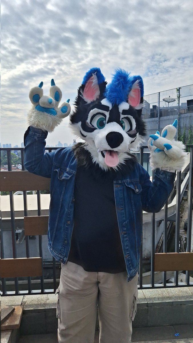 Unpronunceable Husky tweet media