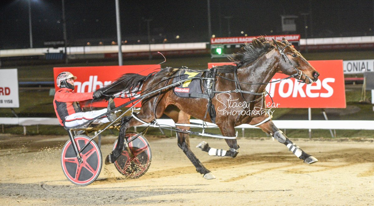 staceylear's tweet photo. Race 4 @launceston_pc - LADBROKE IT! STAKES

KEAYANG FITZY / Nathan Ford &amp; Wayne Yole https://t.co/JavrzenBlf