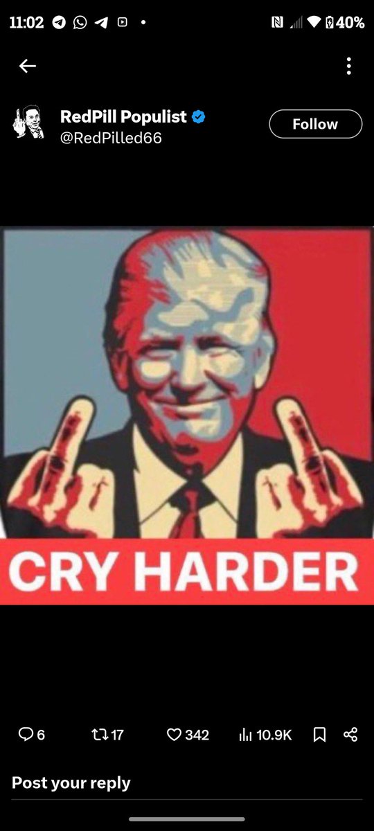 MeatballRomo's tweet photo. @brixwe https://t.co/M1709EMtMw
