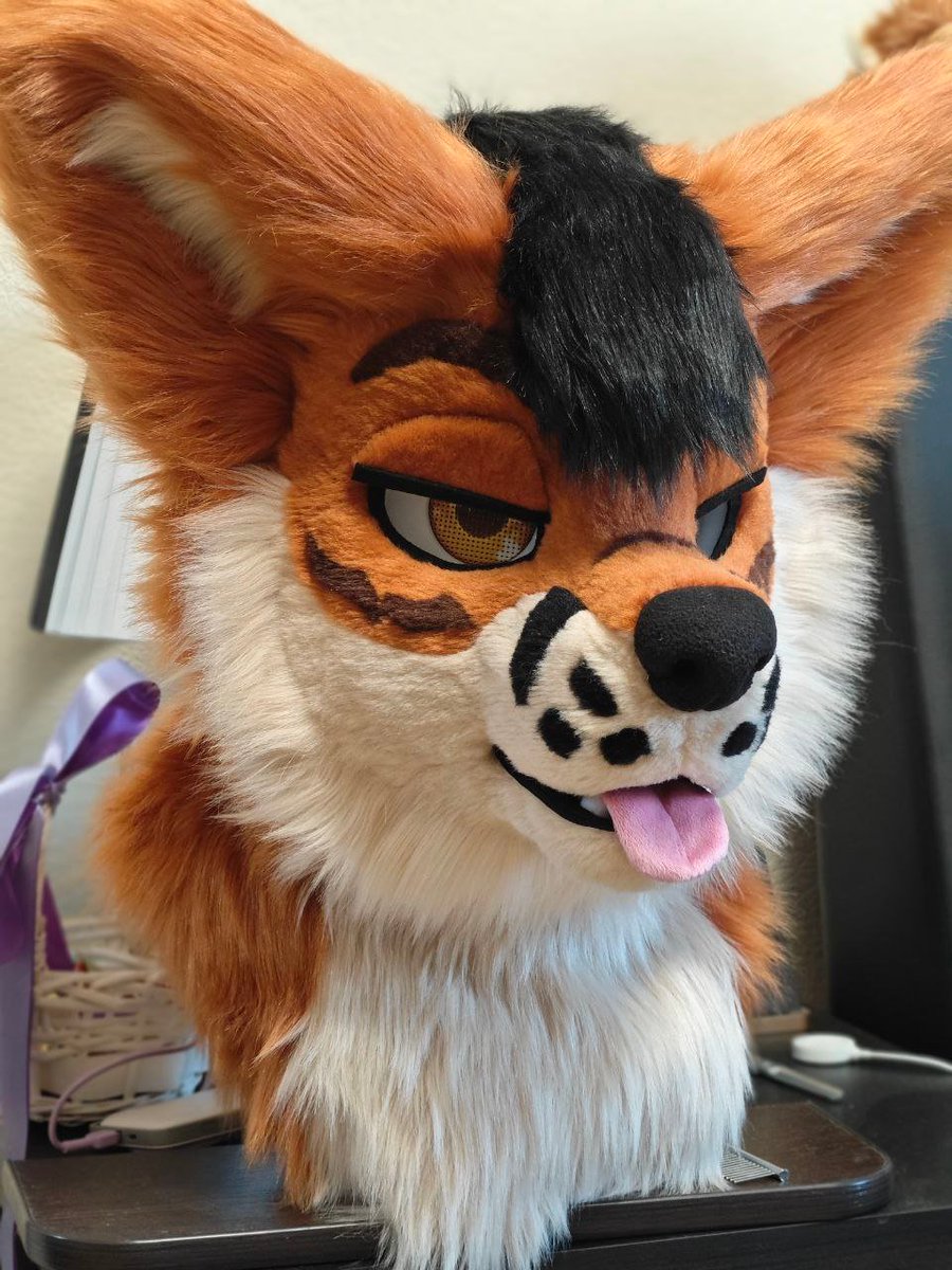 The fox is ready ^^ We are waiting for more photos with him
#fursuitmaker #fursuitcommissions #fursona #fursuitbuilder #fursuit #fursuitdancer #fursuiting #fursuitmakin #furry
#furryfandom #furrycommunity #fursuit  
#fursuits #fursuiter
#fursuithead
