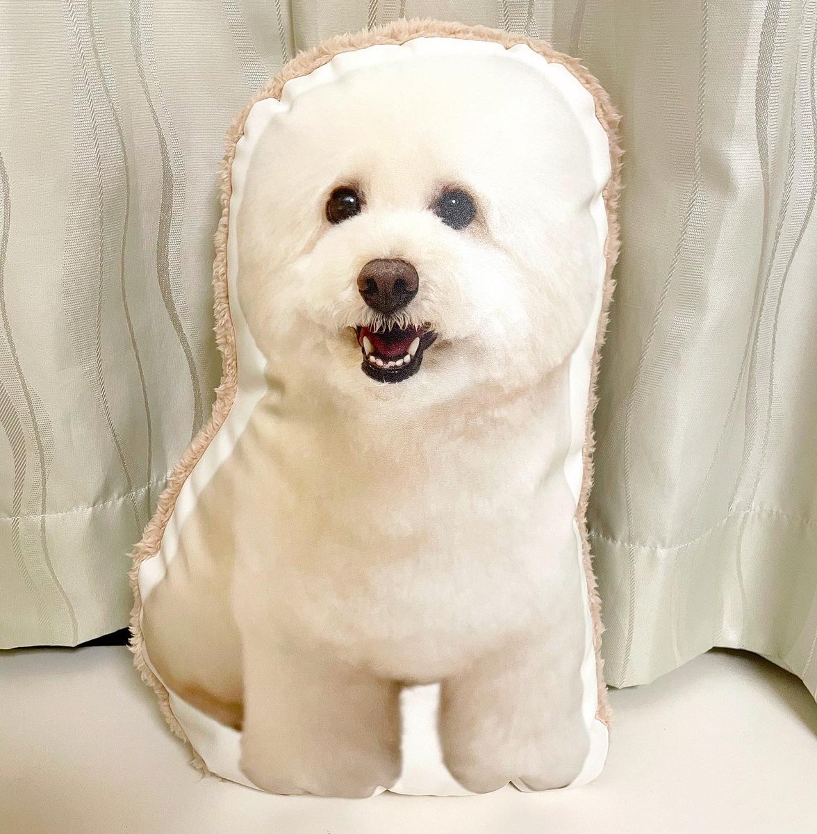 bonpoo's tweet photo. 位牌を作って頂いたところにて、写真入りのクッションも作って頂きました。
位牌も立派でしたが、クッションの完成度もキレイにしてもらって、家族みんな喜びました😃

ぐりより若干小さくなったけど、ぼんが帰ってきた感じもします。 https://t.co/aGPuAchaMN