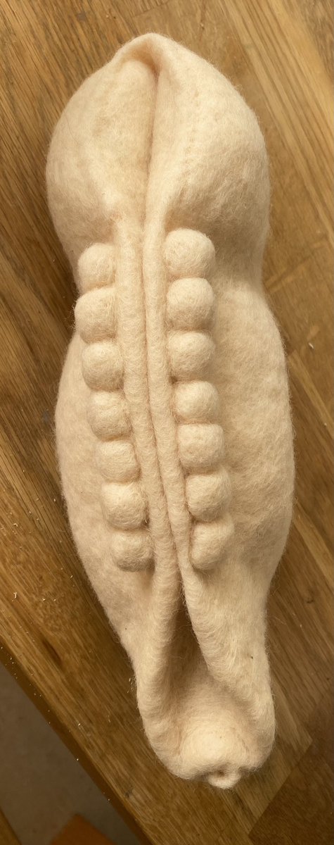 Embryo finished. Now on to the amniotic and yolk sacs