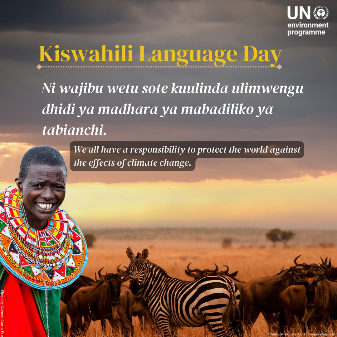 UNEP's tweet photo. Today is World Kiswahili Language Day.

A language spoken by millions, UNEP uses Kiswahili to get its messages across East Africa and beyond.

Follow @UNEP_Kiswahili on X &amp; see other platforms for updates in Kiswahili here: https://t.co/Ah5CIHaHPN https://t.co/dSabB6RGFz