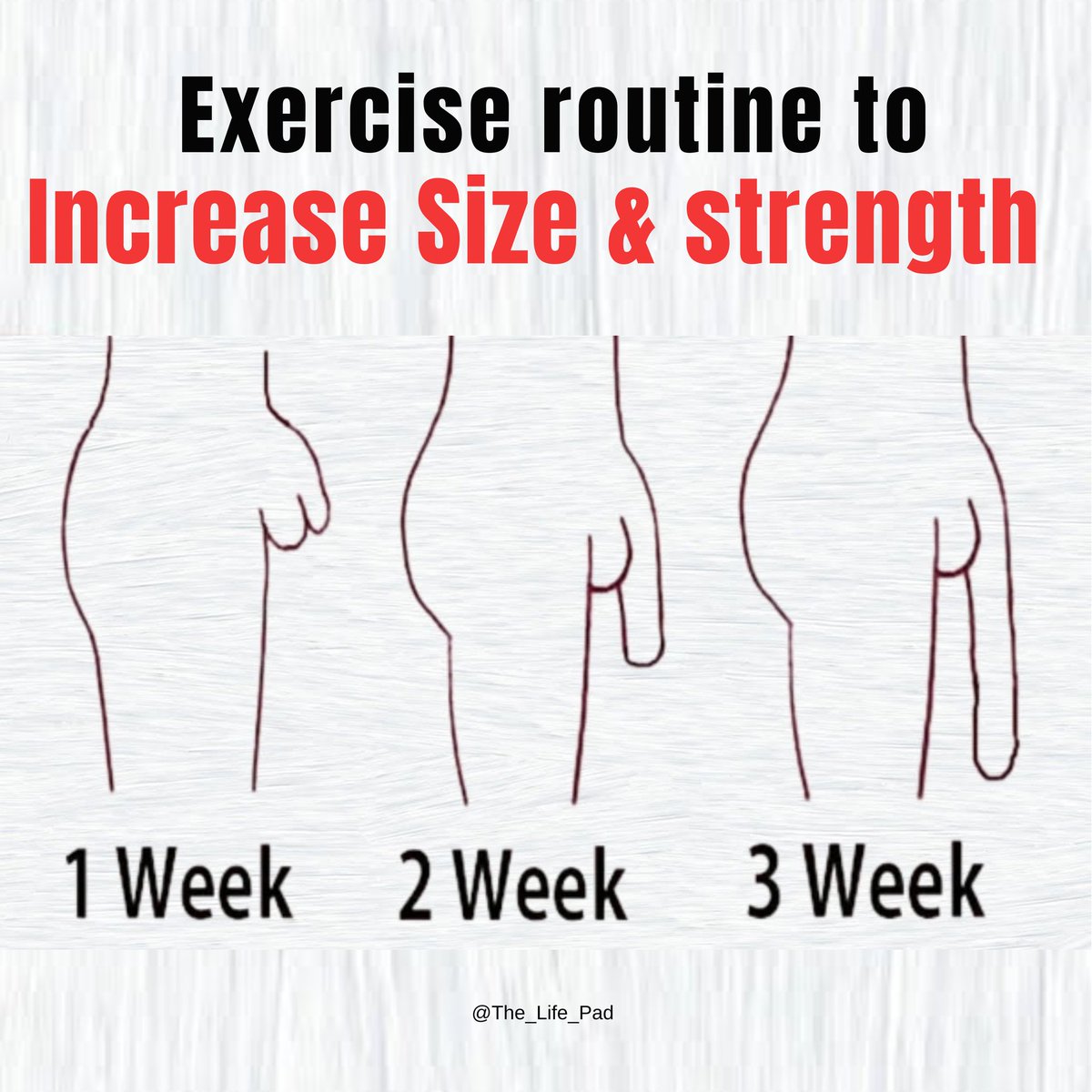 GoalLoaded's tweet photo. Exercise routine to increase size and strength in 3weeks 👇👇👇 https://t.co/7DJuAsIBvZ