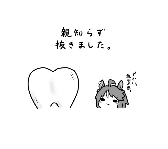 【ご報告】