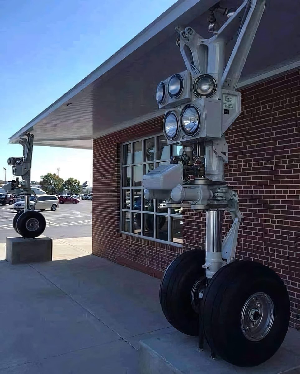 Virginie Sigonney 🇫🇷 tweet media