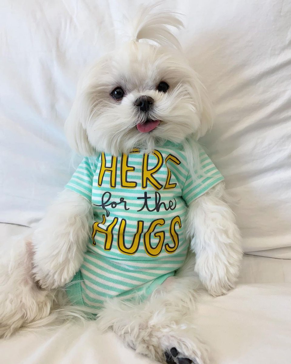 $coco going for a nap *hugs*