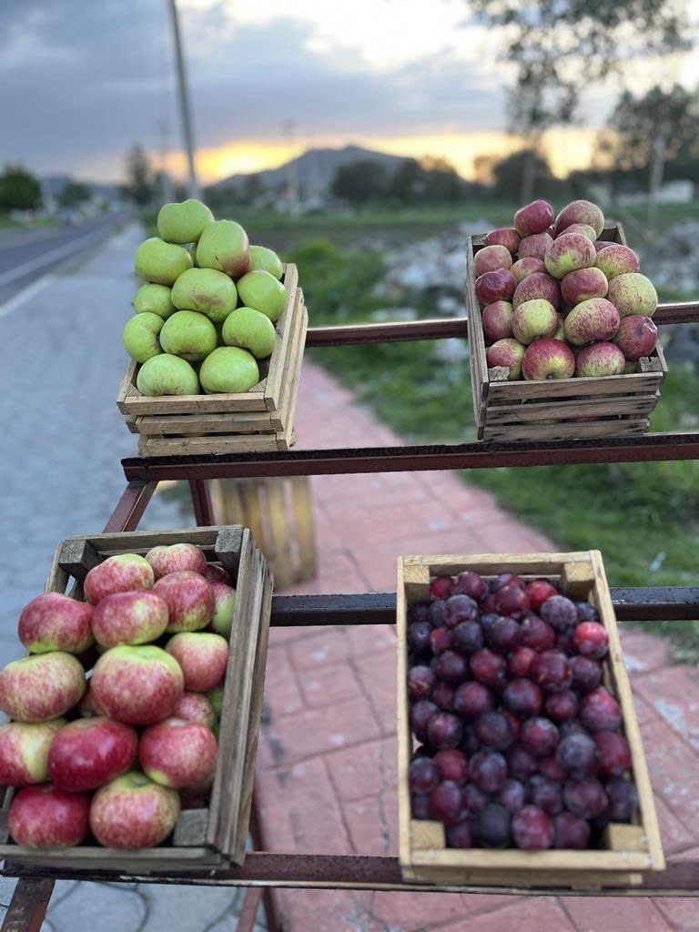 PPLeyva's tweet photo. Una buena cosecha… por los caminos de Puebla… https://t.co/4ITAKVg3e0
