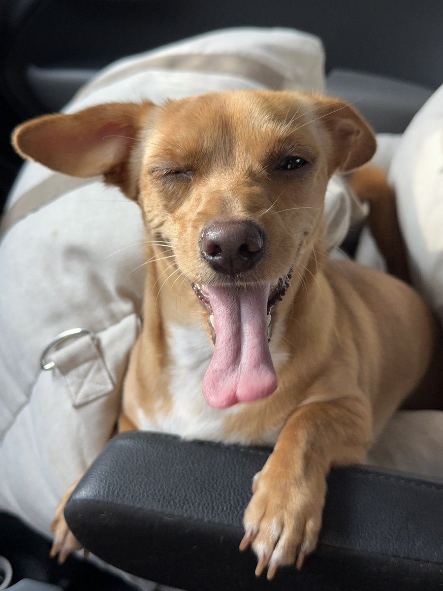 내가 G면 넌 나의 I, R, E, U, M, E, E가 되어줘