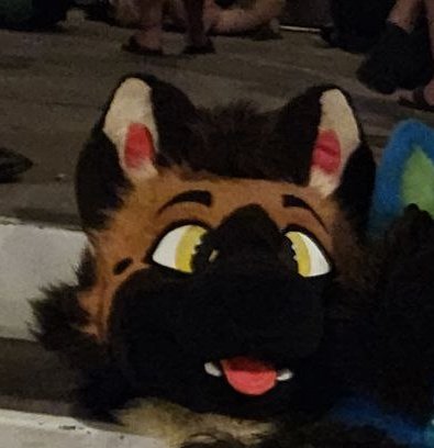 dopplefox's tweet image. PSA:

Be on the lookout for this fursuit head!!!

Someone stole it at the AC rave tonight!!! 

Dm me it you have any info regarding it&apos;s whereabouts!!