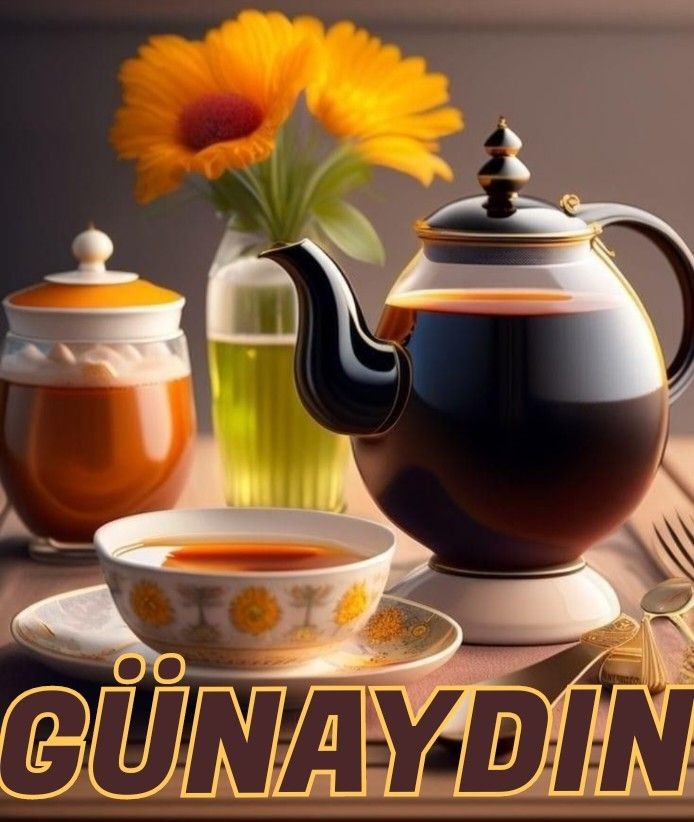 Hamdullah Kılıç tweet media