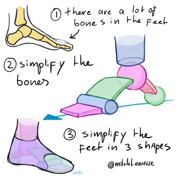 Learn to use these basic shapes to build the feet 