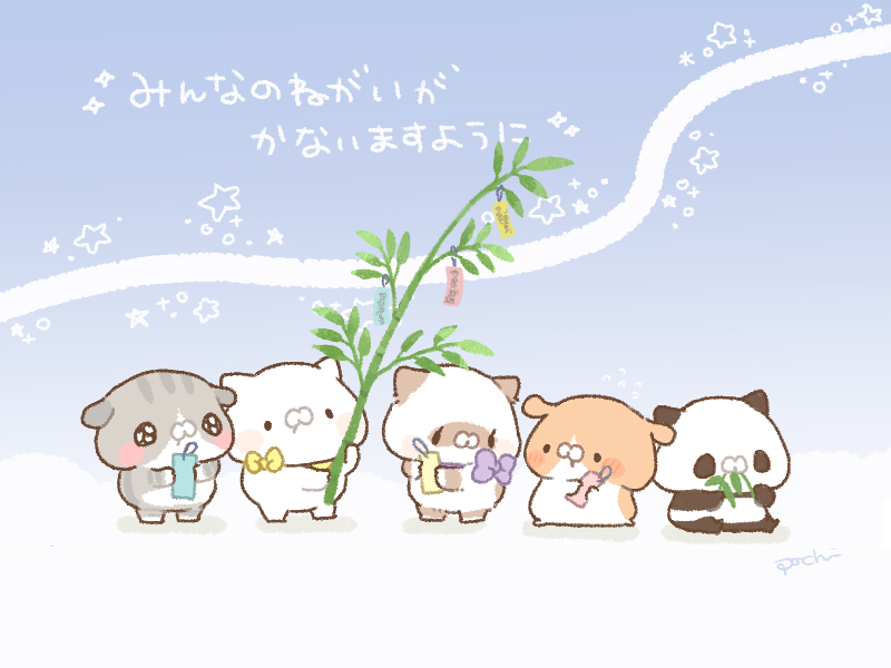 確認ページ♡にゃんこ＆わんこ わんにゃんフェスタ開催🐶🐱🎉 | NICO PET（ニコペット）