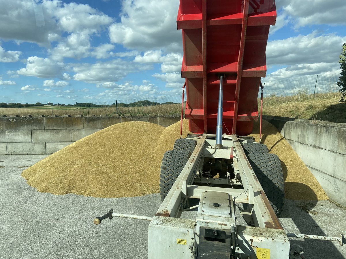 Guillaume LE POGAM 🪱🐝🐞🌾🌻🌽 tweet media