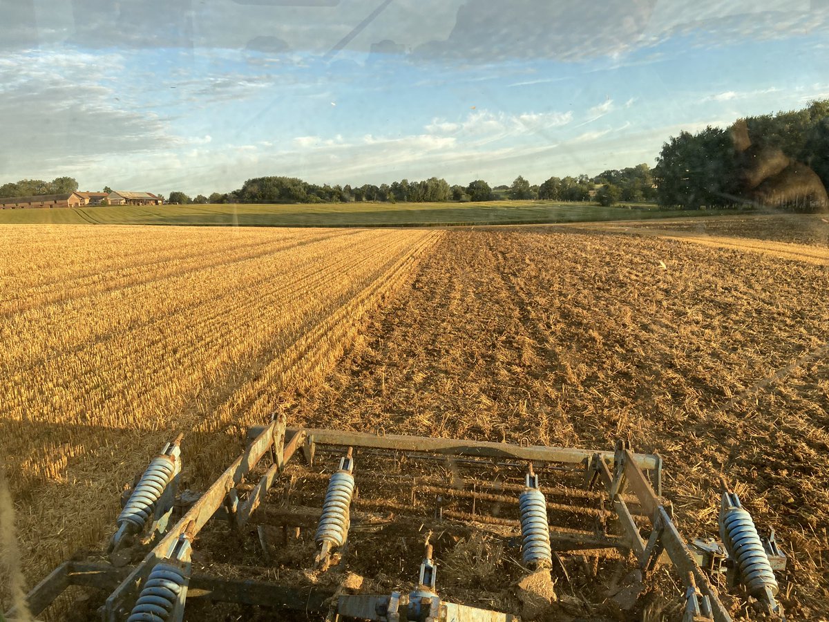 Guillaume LE POGAM 🪱🐝🐞🌾🌻🌽 tweet media