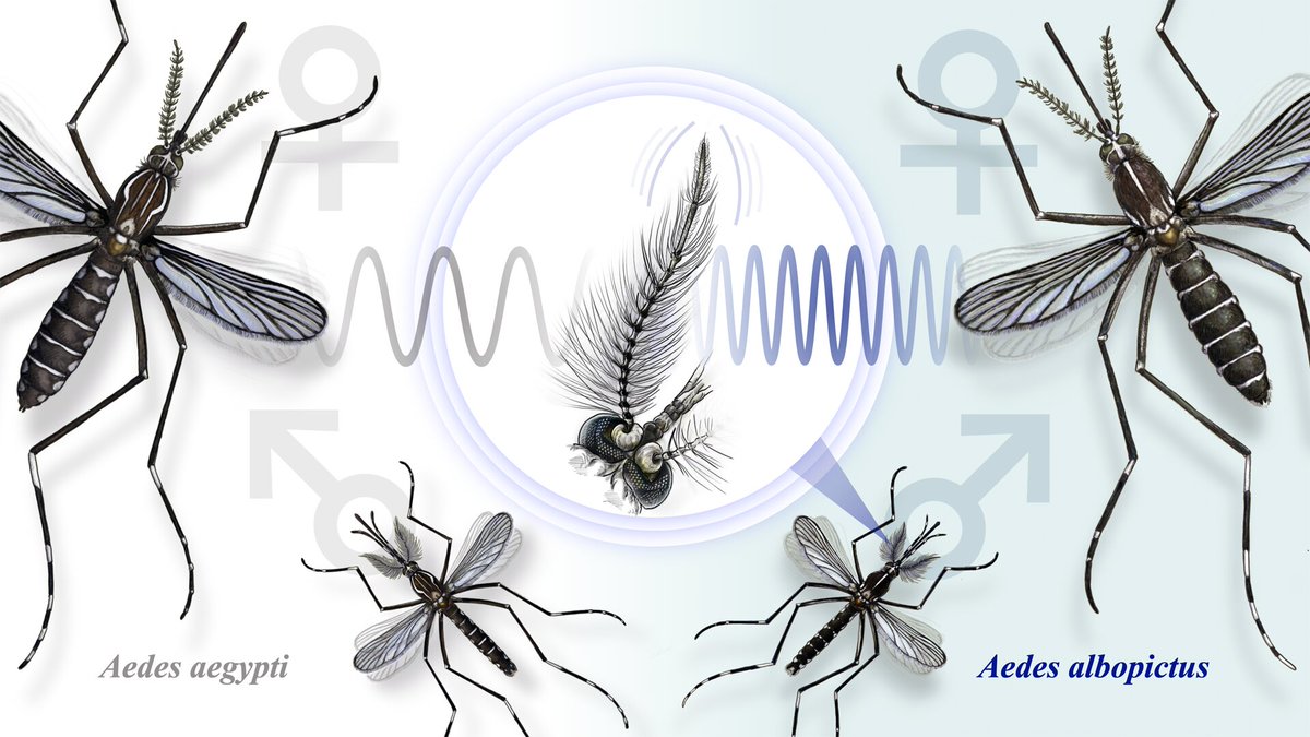 Animal Genetics tweet media