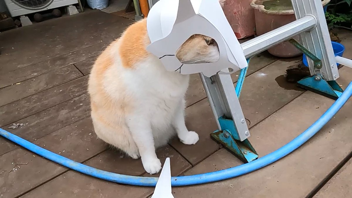 JJ Works tweet media