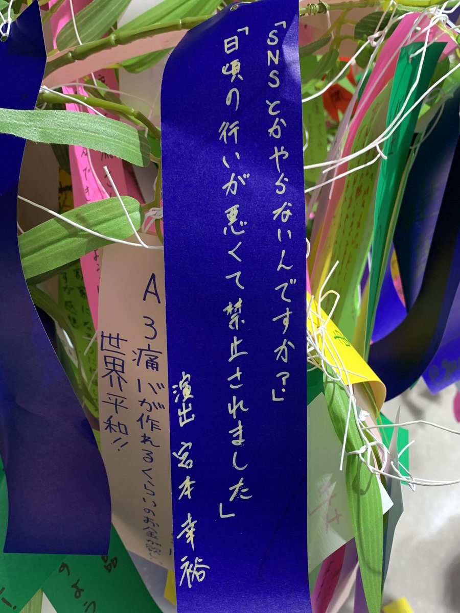 物語シリーズ 七夕展示
ファンの短冊がいっぱい付いててぐちゃぐちゃになっとる 