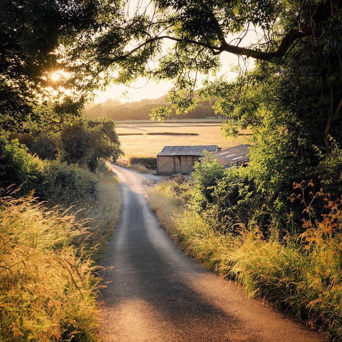 A hazy sunset in the #peakdistrict - the low sun lighting the swaying grasses, the barn full of gathered hay and swooping swallows, and the quiet lane stretching into the still-warm fields. These are my memories of summer as a child and I love that they're still my present too.