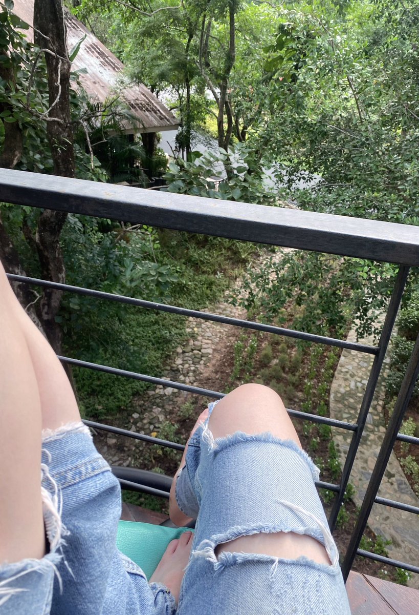 mntpp tweet media