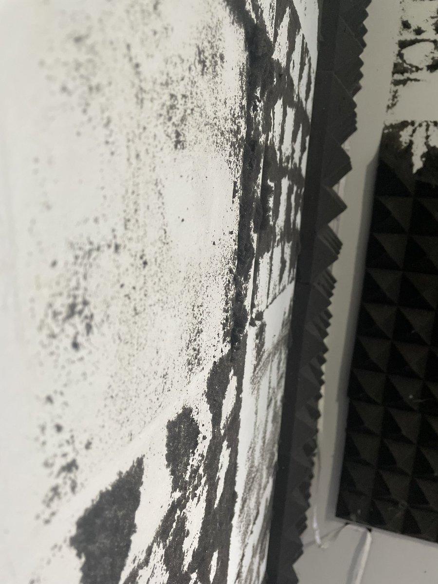 𝙿𝚒𝚗𝚎 tweet media