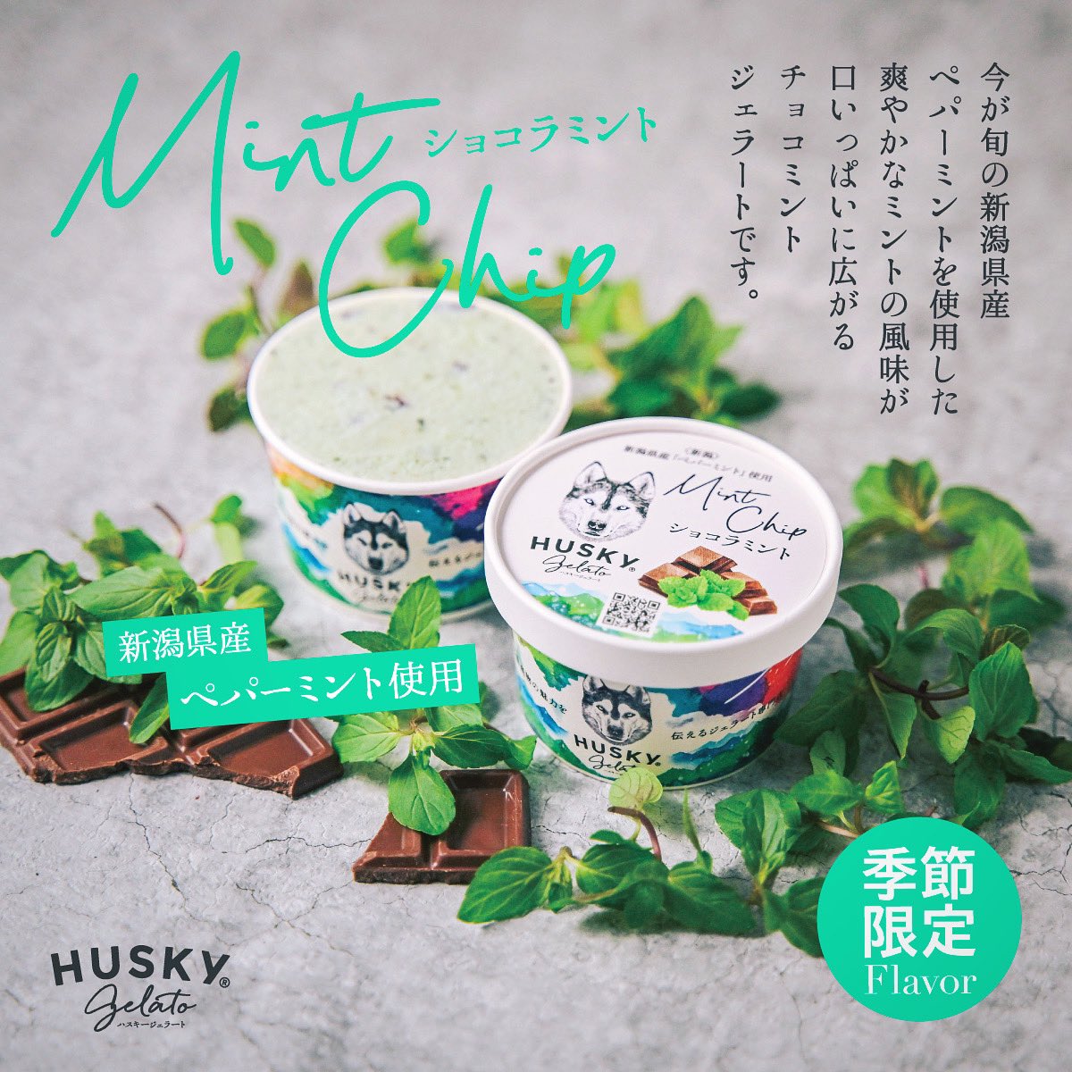huskygelato's tweet photo. 新作のハスキージェラート
ショコラミントが販売開始！

いつものチョコミントとはひと味違う、今が旬の新潟県産ペパーミントを使用したミントの風味が口いっぱいに広がるフレーバーです。

エキュート大宮店、戸越銀座店、猿倉山ビールバ��ではディッピングとカップジェラートをご用意しています😸 https://t.co/1VCdxlOu7g